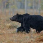 Рецензия на фильм "Идеальная зависимость": любовь, зависимость и путь к самопознанию